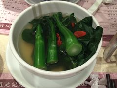 上汤jie lan-池记(尖沙咀店)