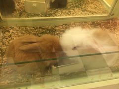 -龙猫仔乐园(惠福东路店)