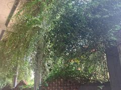 -广州市紫泥堂文化创意园景区