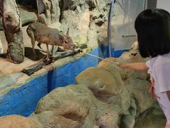 -正佳雨林生态植物园