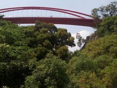 -金鸡山公园