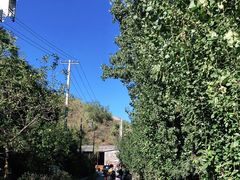 -蟠龙山长城景区