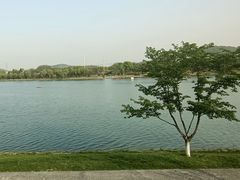 -羊山湖公园