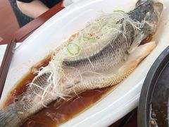 -蜀SHU·川菜
