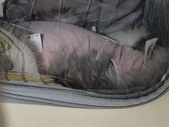 -美联众合动物医院·24h京西诊疗中心