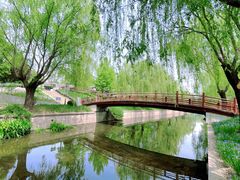 -海棠花溪(元大都城垣遗址公园)