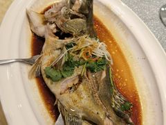 清蒸鳜鱼-熙春园餐厅