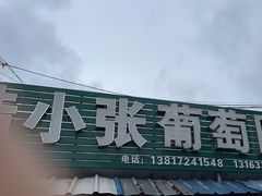 -马陆小张葡萄园农家乐