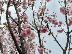 -观澜湖生态运动公社