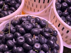 -大观篆新农贸市场