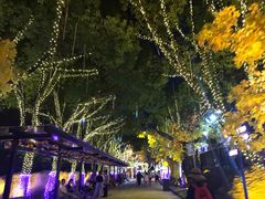 -横店影视城梦幻谷园区