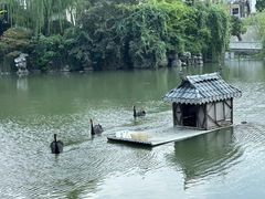 -常州武进九洲喜来登酒店