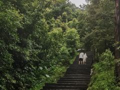 -凤栖山
