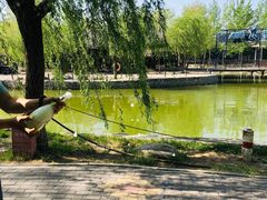 -杨柳青庄园