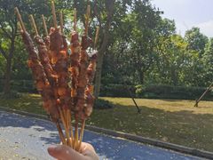 -吴淞炮台湾湿地森林公园烧烤区