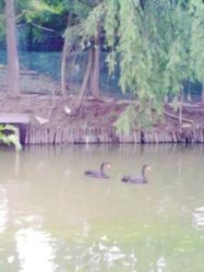 -金庭庄园酒店彩虹厅