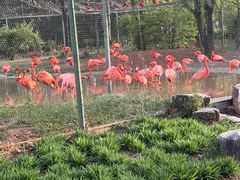 -石家庄市动物园