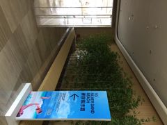 iphone_upload_pic-青岛银沙滩温德姆至尊酒店