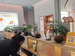 -长风拨筋养身(金虹桥店)