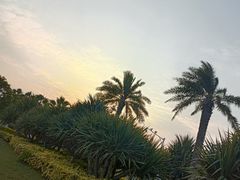 -椰风寨