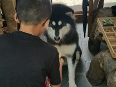 -浔岚云舍mist静谧观景美宿(丽江古城店)