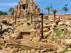 -石家庄市动物园