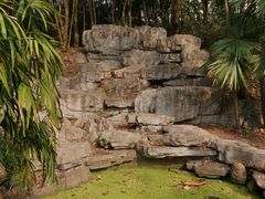 -深圳国际园林花卉博览园