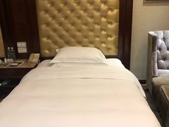 -圣爵菲斯大酒店(长沙世界之窗店)