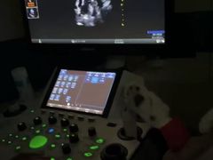 -睿金宠物医院·CT·肿瘤·骨外科
