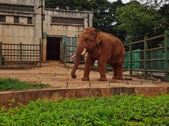 -昆明动物园