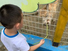 -武汉紫薇都市田园