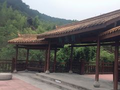 -铁山坪森林公园