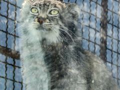 -青藏高原野生动物园