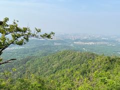 -紫金山山顶公园