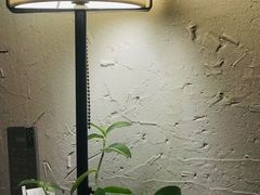 -花迹(富春江东街店)