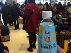 人山人海-上海长途客运南站