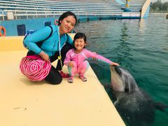 -秦皇岛乐岛海洋王国