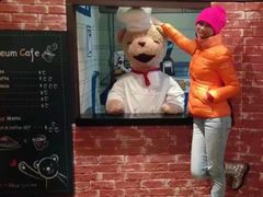 -济州岛泰迪熊博物馆