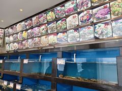 -华盛丰温州大排档(东三环南路店)