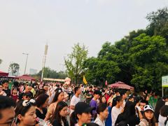 景点-成都大熊猫繁育研究基地