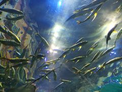 -华夏文旅海洋公园