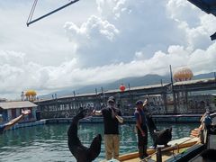 -海南分界洲岛旅游区