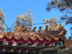 -潭柘寺景区