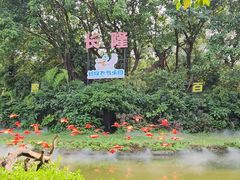 -广州长隆飞鸟乐园