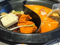 -生活如沸·顺德水牛奶火锅(大学路店)