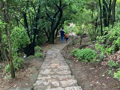 -莫干山风景区