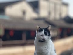 -锦溪古镇