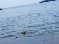 -湖南东洞庭湖国家级自然保护区