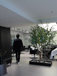 -付军剪艺JF ProSalon