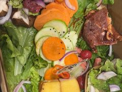 -山野的朋友露营炭火烤肉